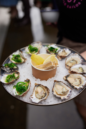 Toxtails-2024 - Toxtails