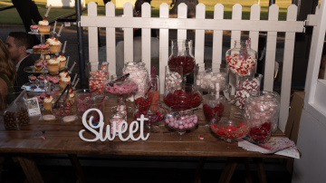 Toxtails-2025 - Toxtails