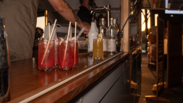 Toxtails-2025 - Toxtails