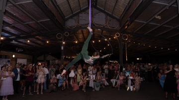 Toxtails-2025 - Toxtails